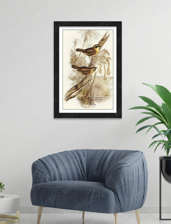 Two birds sitting gracefully on a branch, framed beautifully against a serene background.Living Room, Bedroom, Home, Office, Hotels