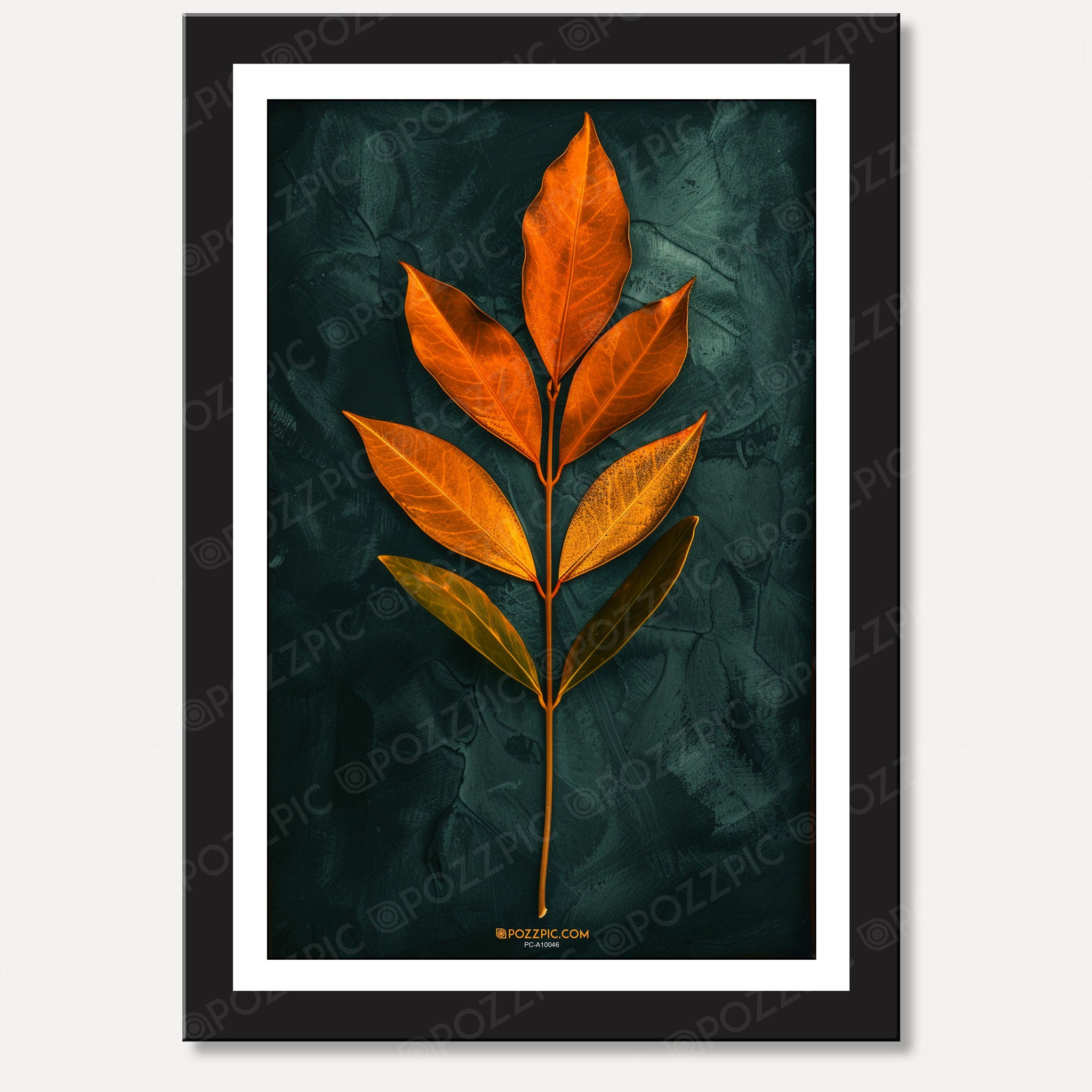 An orange and green leaf rests elegantly on a contrasting black background, highlighting its   Living Room, Bedroom, Home, Office, Hotels            vibrant colors.