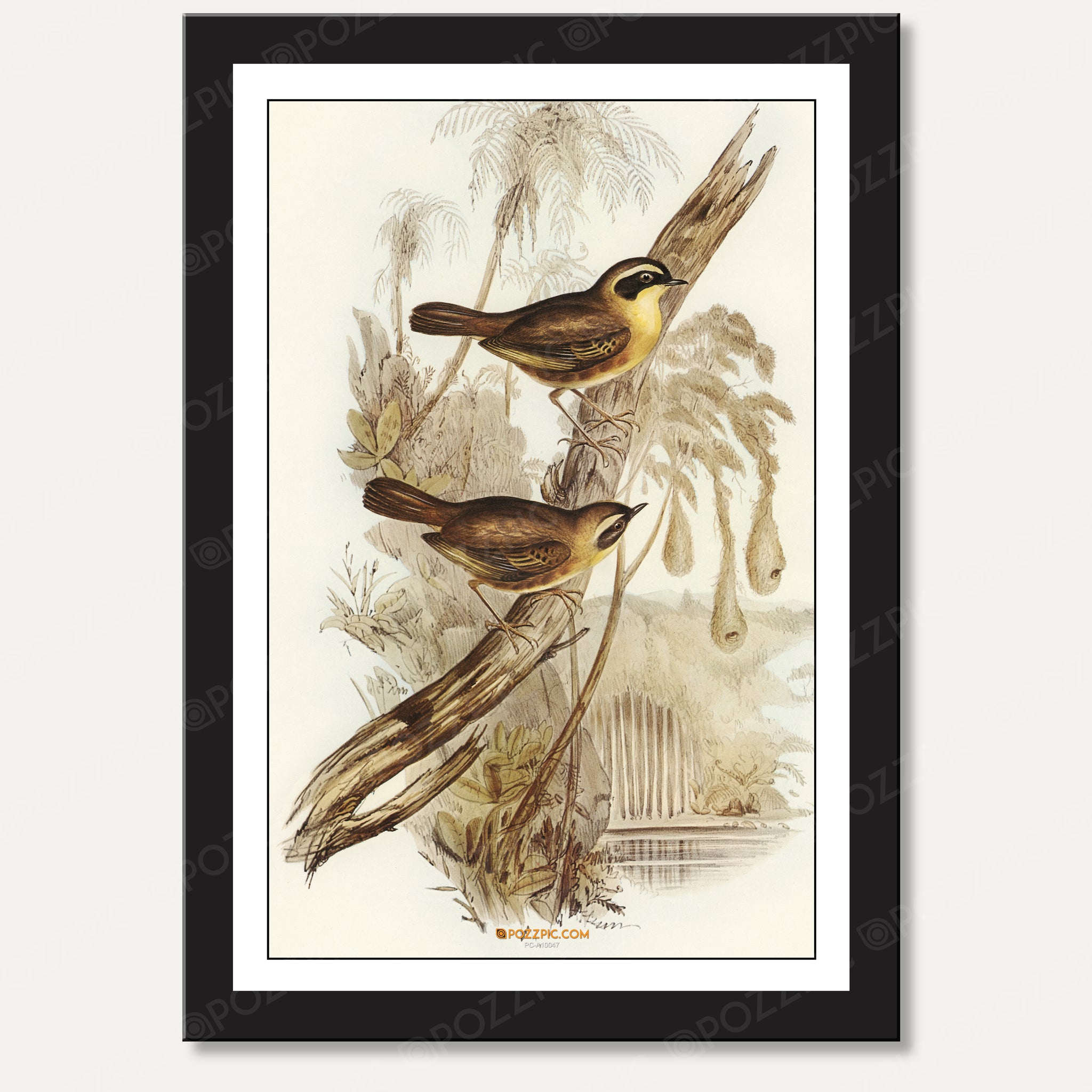 Two birds sitting gracefully on a branch, framed beautifully against a serene background.Living Room, Bedroom, Home, Office, Hotels