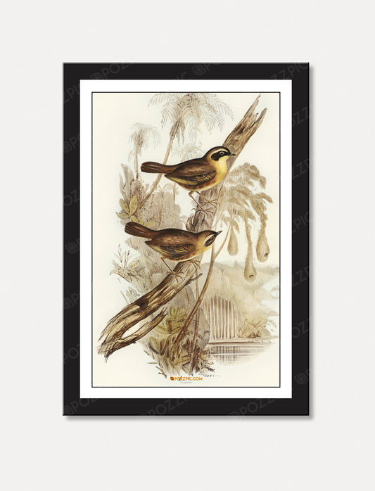 Two birds sitting gracefully on a branch, framed beautifully against a serene background.Living Room, Bedroom, Home, Office, Hotels